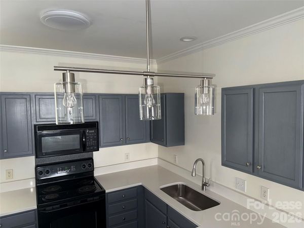 19925 Weeping Water Run, Cornelius, NC 28031