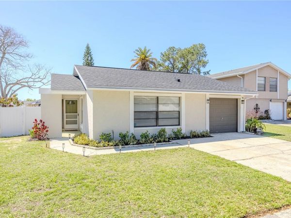 10002 OAKENGATE PLACE , TAMPA, FL 33624