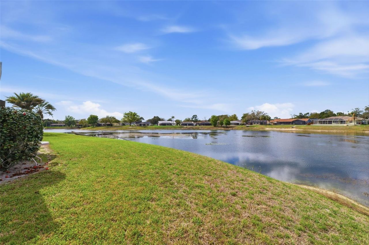 9151 Lingrove Road, Weeki Wachee, FL 34613 Photo