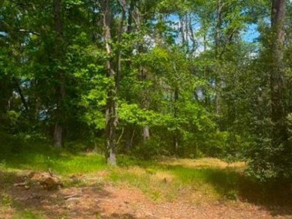 0 Turner Lane, Shreveport, LA 71106