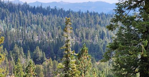 281 Bloods Ridge Rd, Bear Valley, CA 95223 Photo