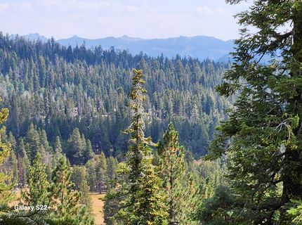 281 Bloods Ridge Rd, Bear Valley, CA 95223 Photo