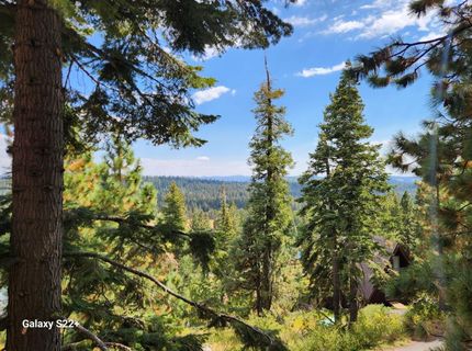 281 Bloods Ridge Rd, Bear Valley, CA 95223 Photo