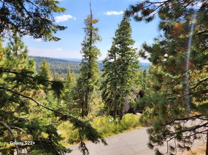 281 Bloods Ridge Rd, Bear Valley, CA 95223 Photo