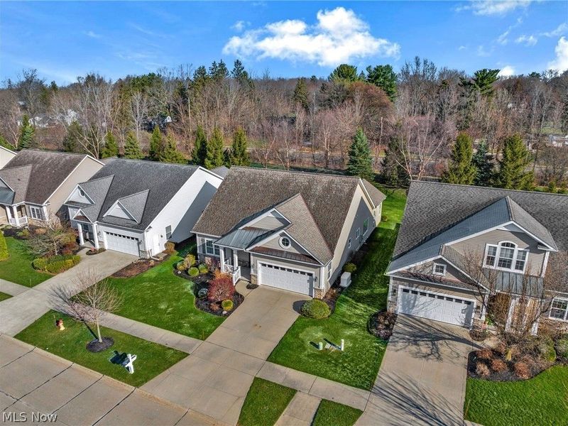 8195 Manor Gate Way, Mentor, OH 44060 Photo 49