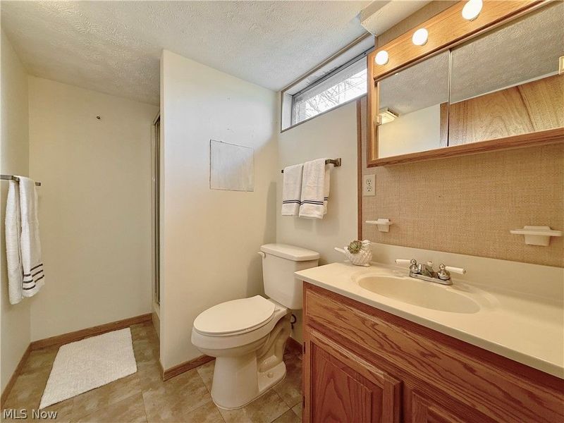 282 N Meadowlark Drive, Williamstown, WV 26187 Photo 27