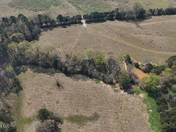 Potluck Road, Canton, MS 39046