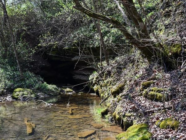 101.3ac Dry Mill Creek, Hilham, TN 38568