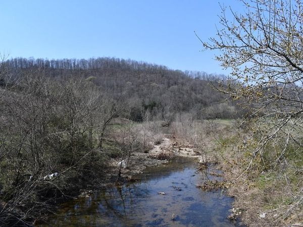31.14 ac Dry Mill Creek Road, Hilham, TN 38568