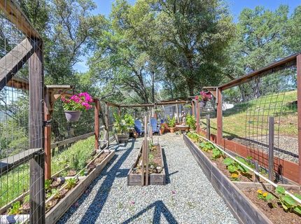 3716 Murphy Ranch Rd, Placerville, CA 95667 Photo