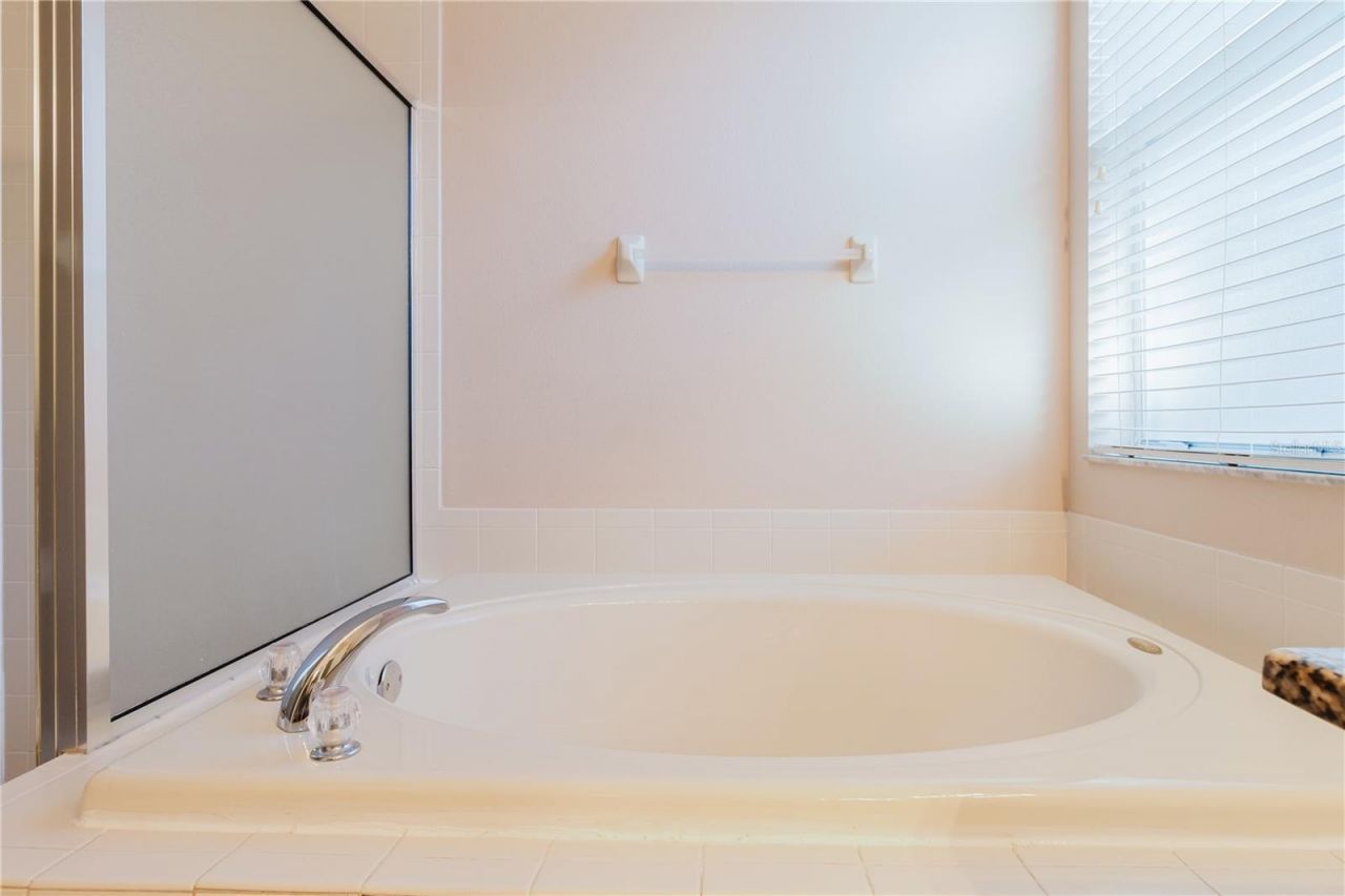 3037 Downan Point Drive, Land O Lakes, FL 34638 Photo