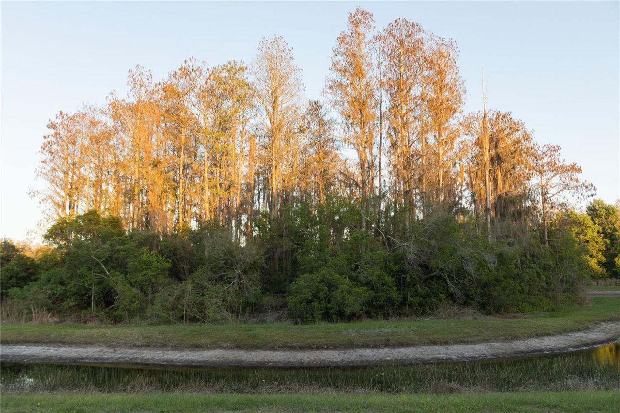 3037 Downan Point Drive, Land O Lakes, FL 34638 Photo