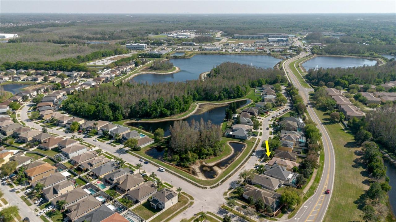 3037 Downan Point Drive, Land O Lakes, FL 34638 Photo