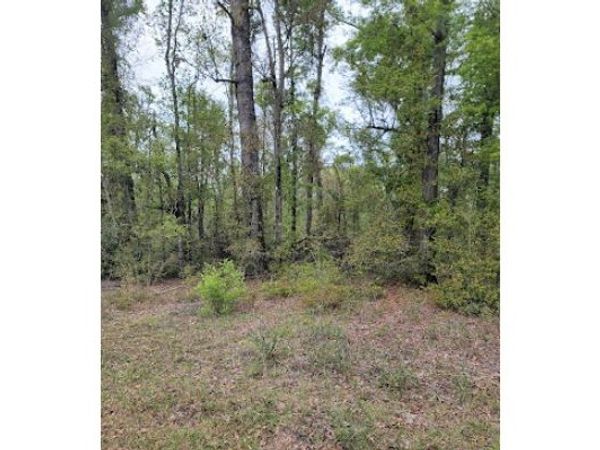 TBD NW SOUTHERN OAK TERRACE, Jennings, FL 32053
