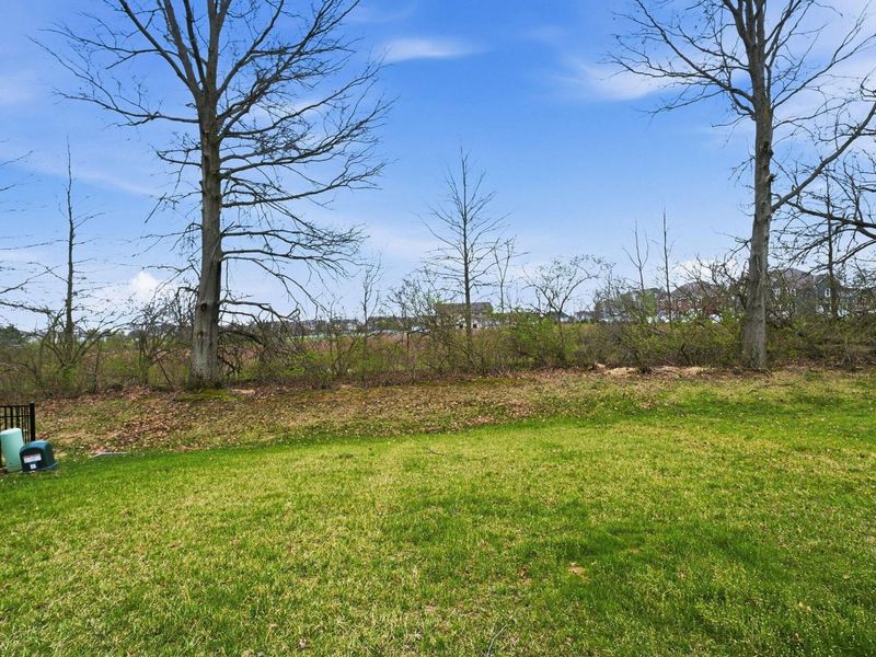 7341 Celebration Drive, Powell, OH 43065 Photo 45