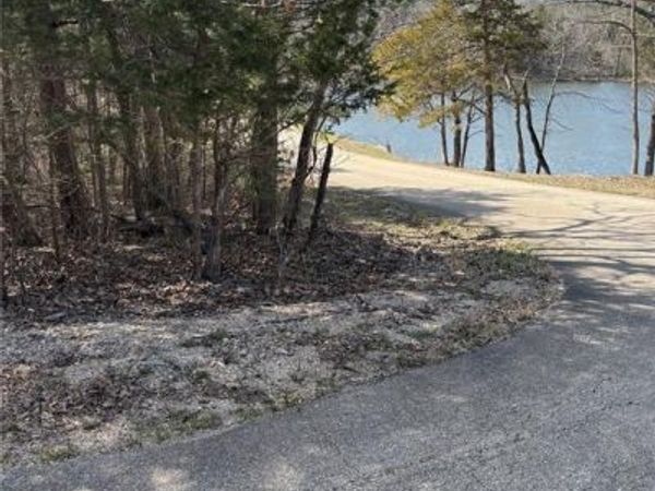 0 Rue Angeline, Bonne Terre, MO 63648