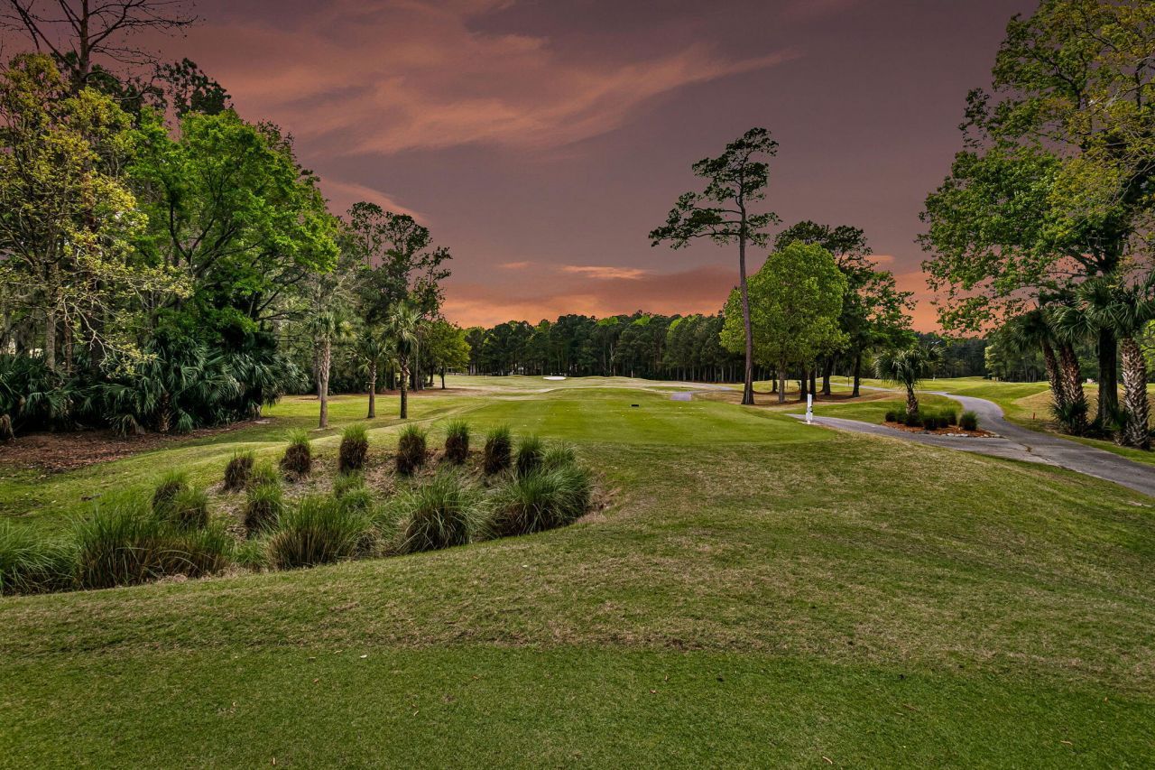 4002 Colonel Vanderhorst Circle Photo 9