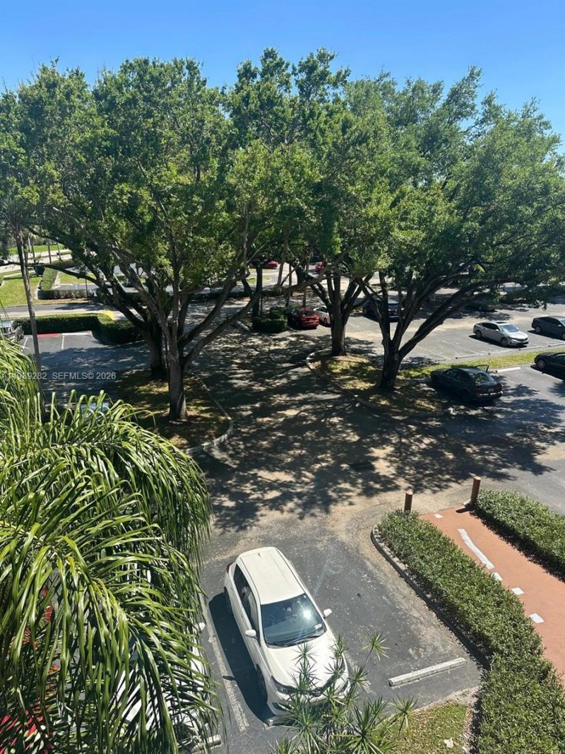 1811 Sabal Palm Dr , Unit 406, Davie, FL 33324 Photo