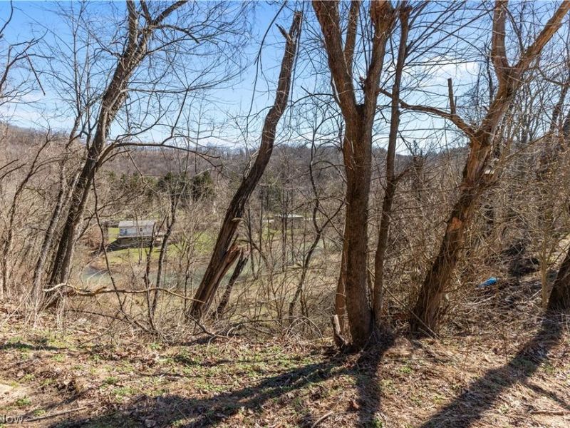 353 Weirton Avenue, Weirton, WV 26062 Photo 7