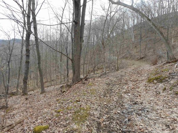 24503 Livingston Road, Wilton, WI 54670