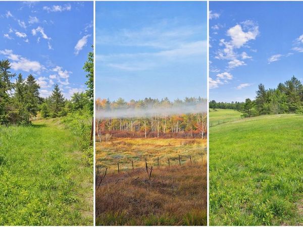 xxx County Road 134 , Pine River, MN 56474