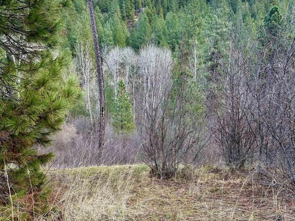 Lot 13 Blk 1 Creekside Ct, Garden Valley, ID 83622