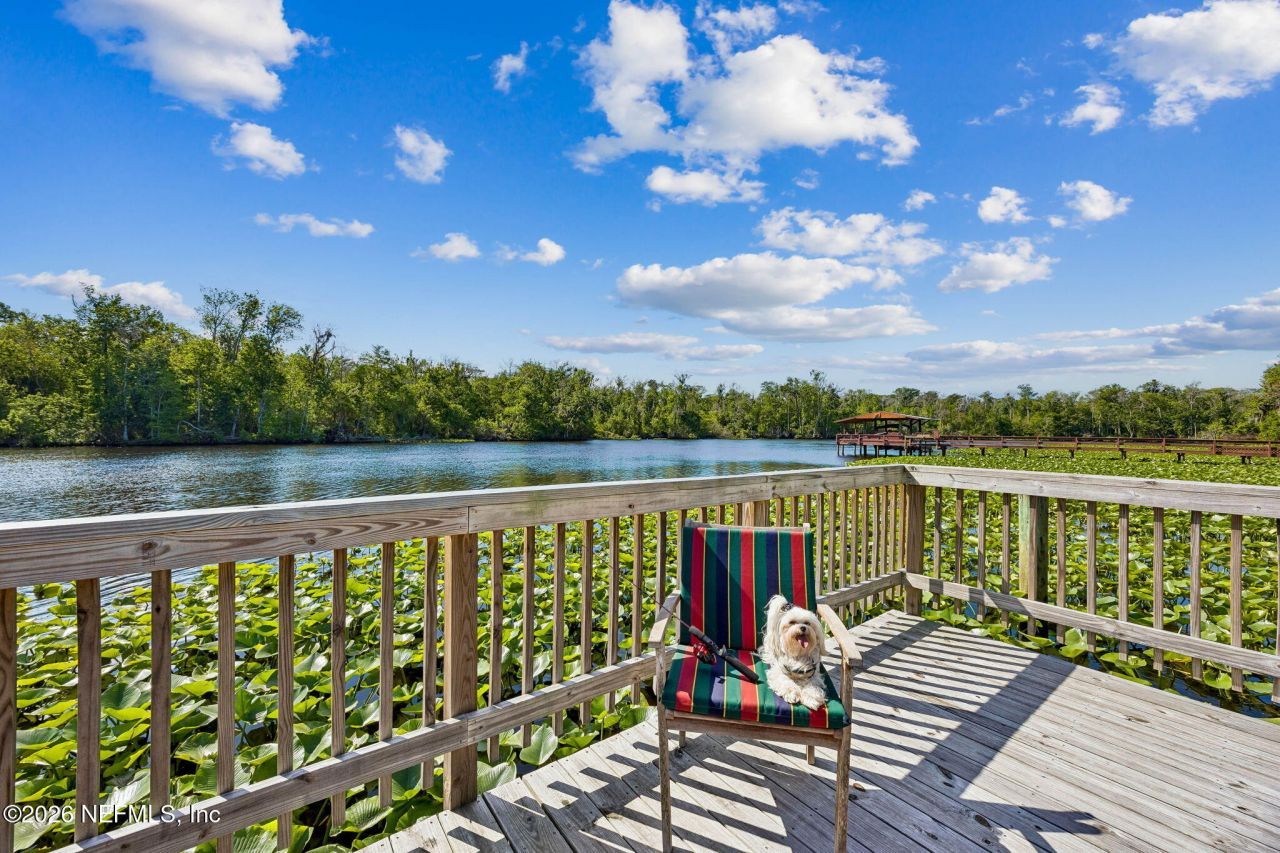 334 Paradise Circle, Satsuma, FL 32189 Photo