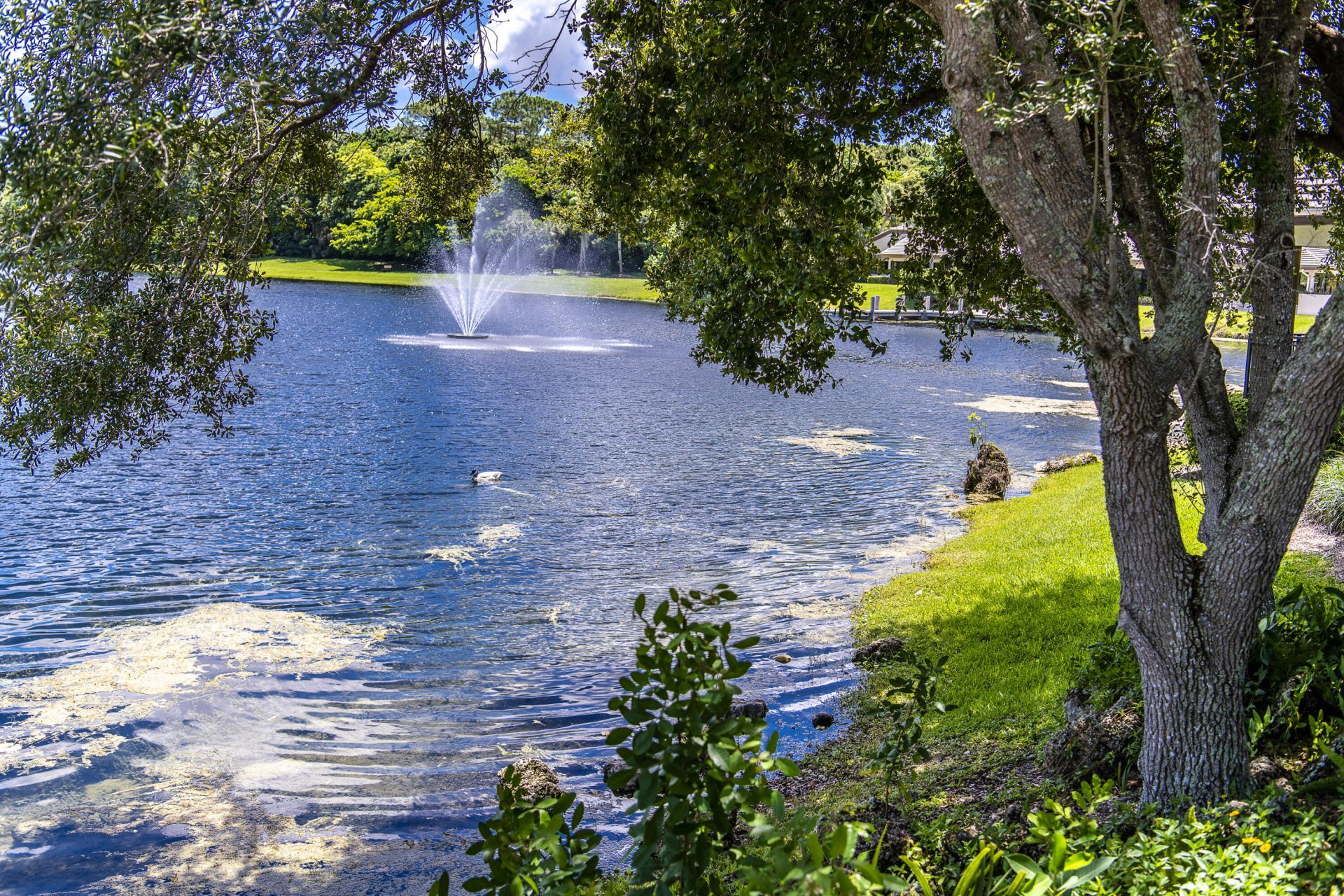 7411 Annapolis Lane, Parkland, FL 33067 Photo