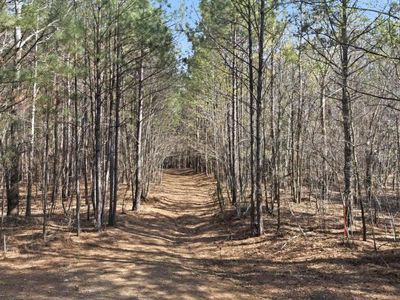 0 S S Heyward Brockington , Columbia, SC 29203