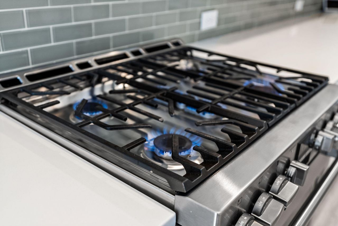 305 Great Lawn Drive Photo 19