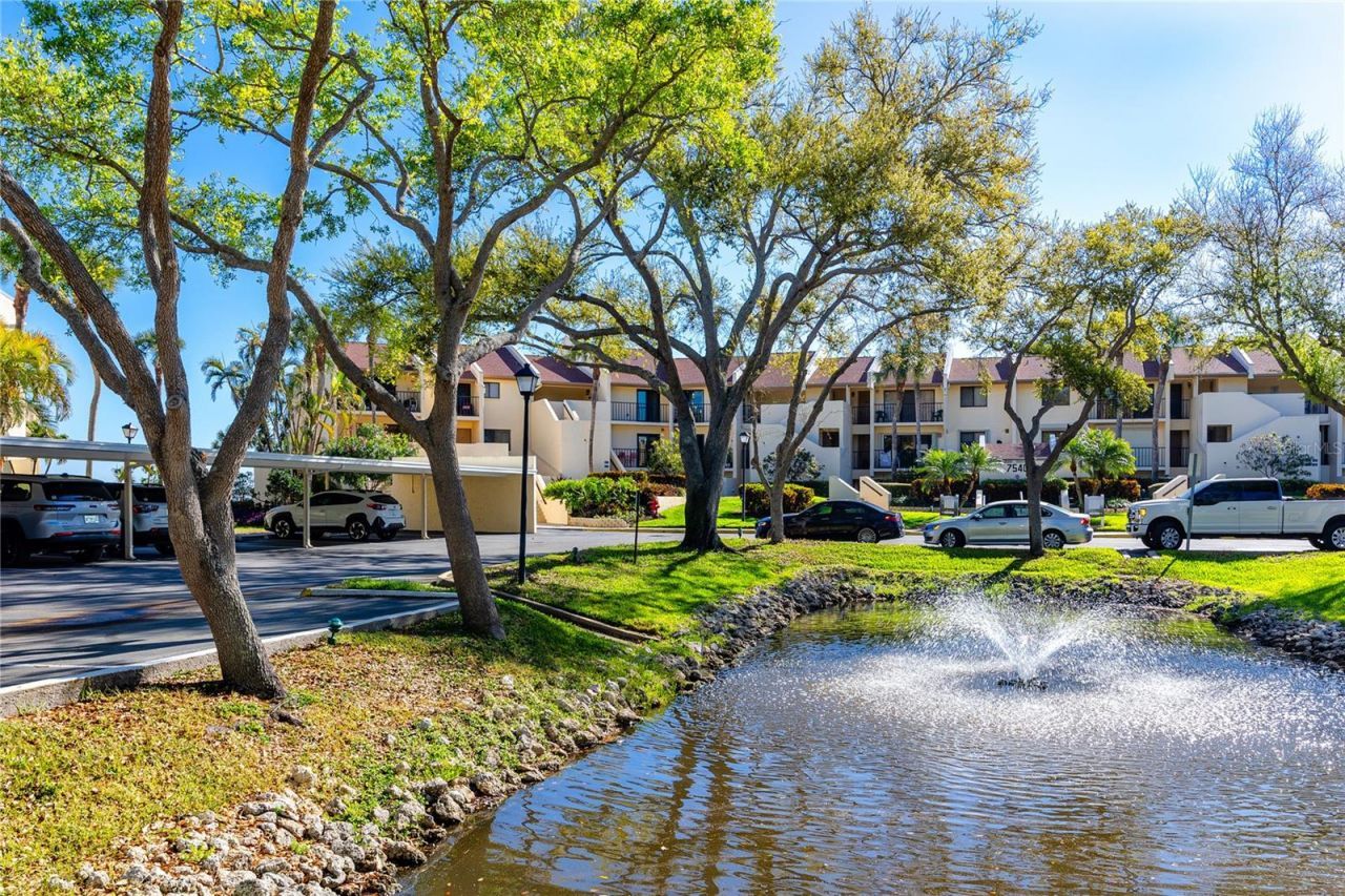 7540 Sunshine Skyway Lane S, Unit 217, Saint Petersburg, FL 33711 Photo