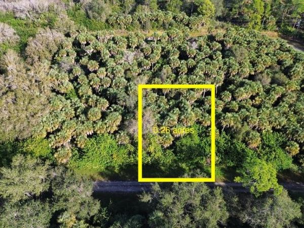 1219 ROSITA STREET E, LEHIGH ACRES, FL 33974