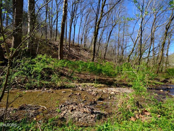 3212 Long Hollow Rd, Powell, TN 37849