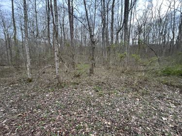 70 Millstone Road, Clay City, KY 40312