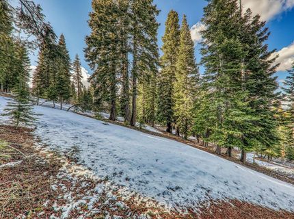 11910 Rhineland Avenue, Truckee, CA 96161 Photo