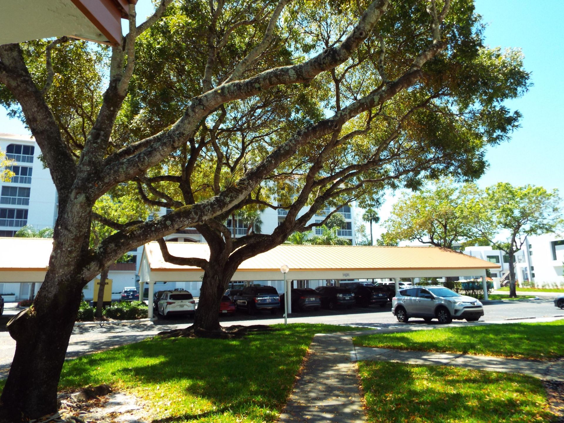 4128 W Palm Aire Drive, Unit 281b, Pompano Beach, FL 33069 Photo