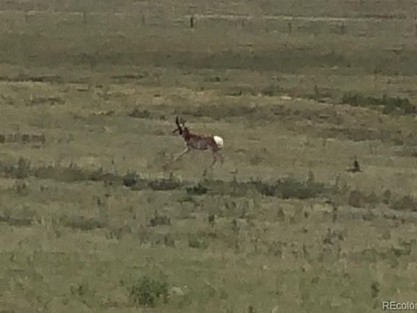 TBD County Road 2, Atwood, CO 80722