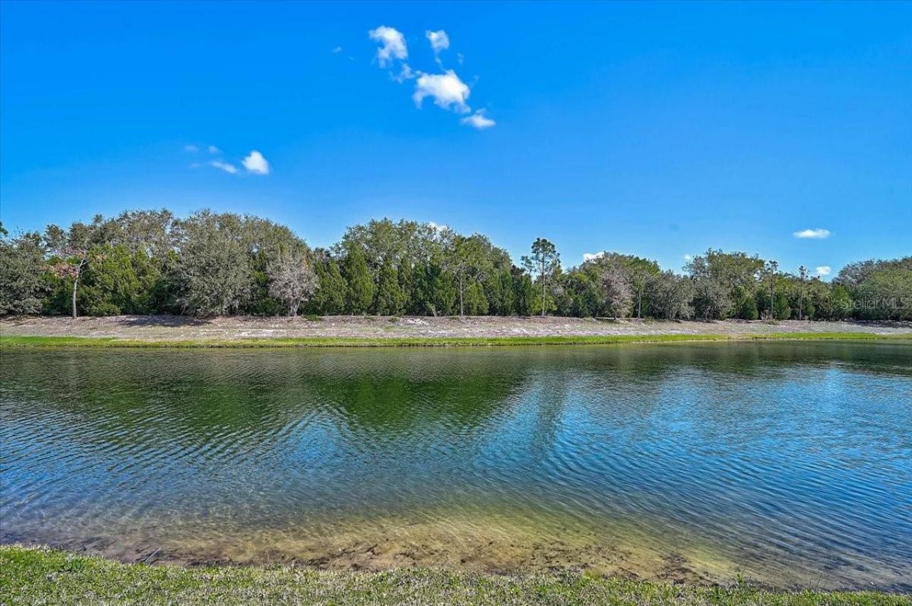 14911 Castle Park Terrace, Lakewood Ranch, FL 34202 Photo