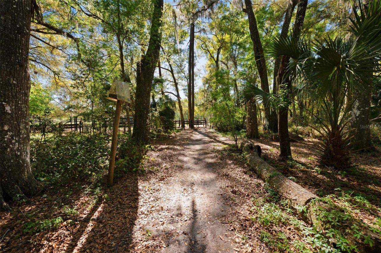 15311 SW 107th Street , Archer, FL 32618 Photo