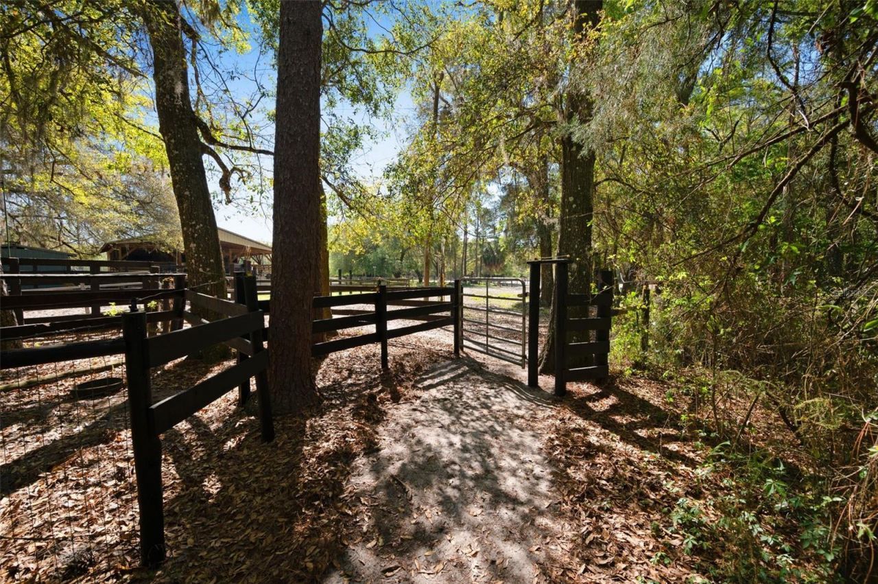 15311 SW 107th Street , Archer, FL 32618 Photo