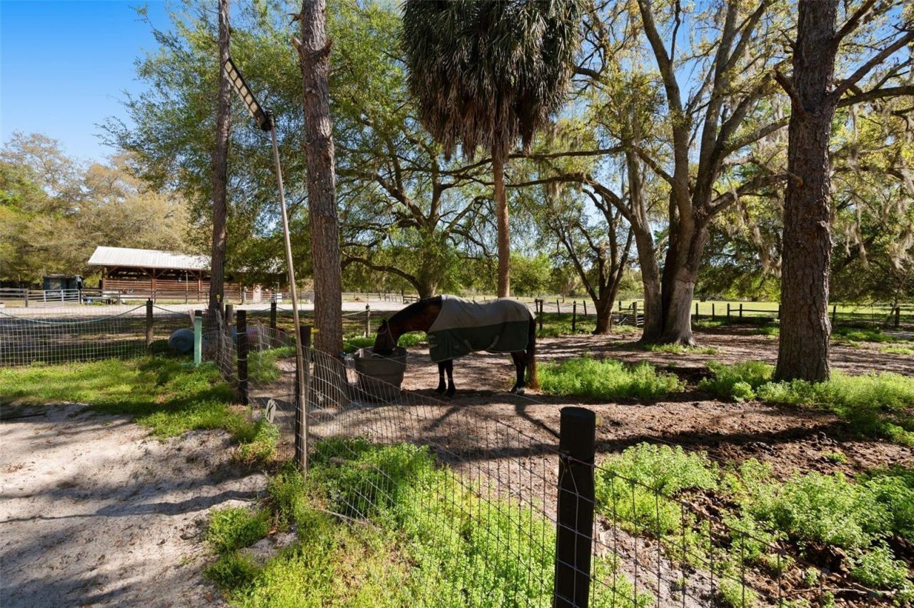 15311 SW 107th Street , Archer, FL 32618 Photo