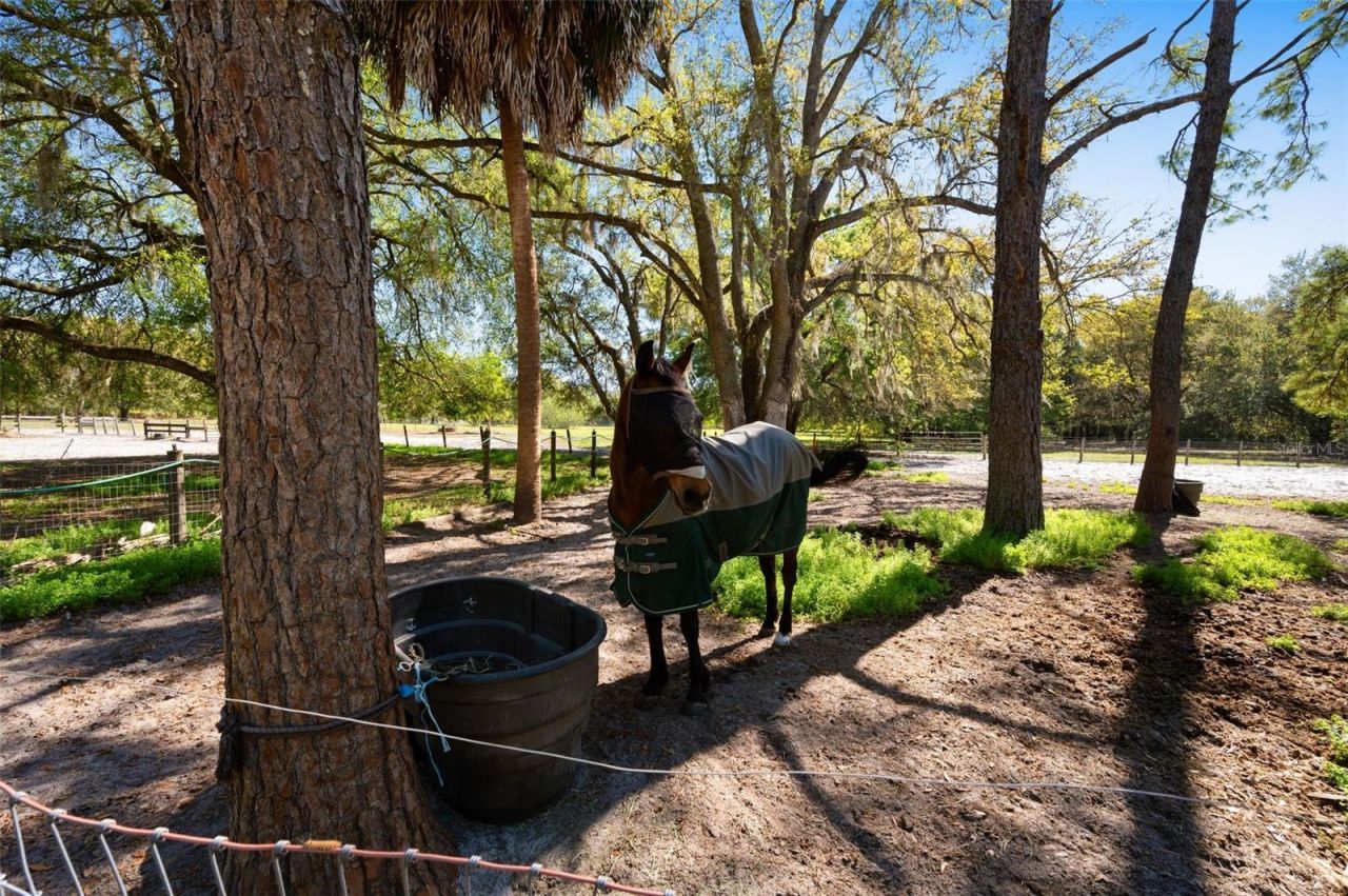 15311 SW 107th Street , Archer, FL 32618 Photo