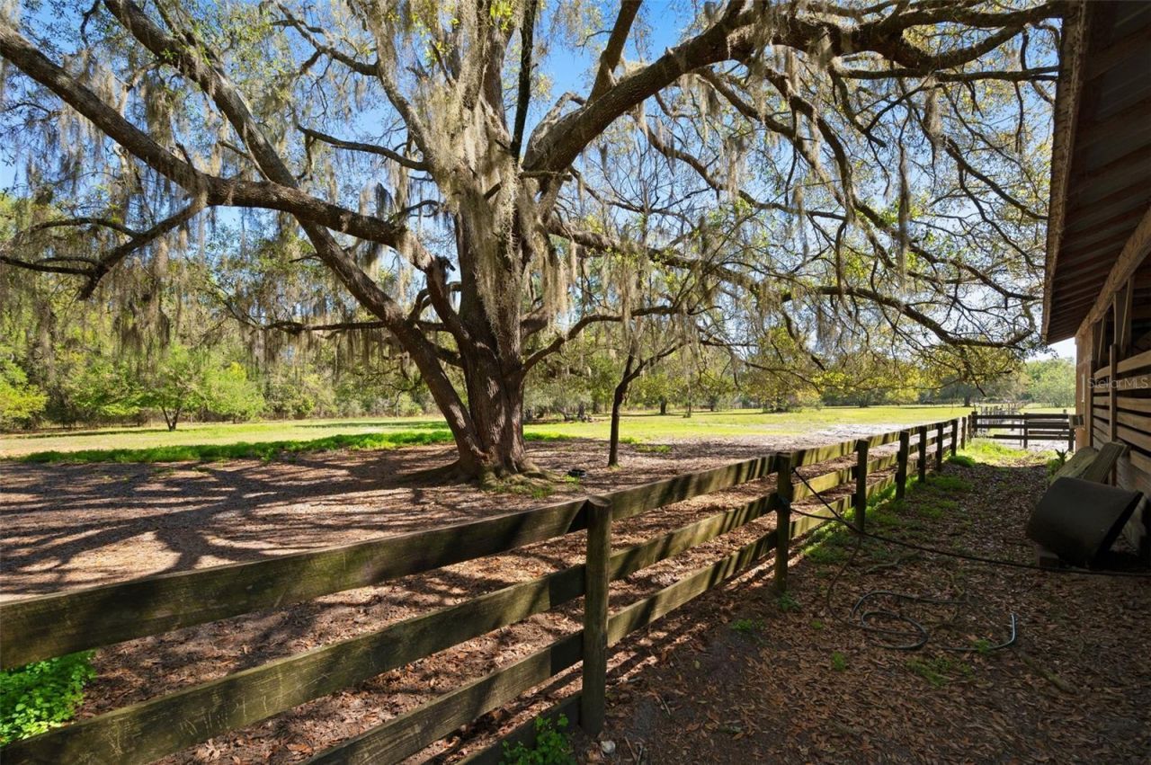 15311 SW 107th Street , Archer, FL 32618 Photo