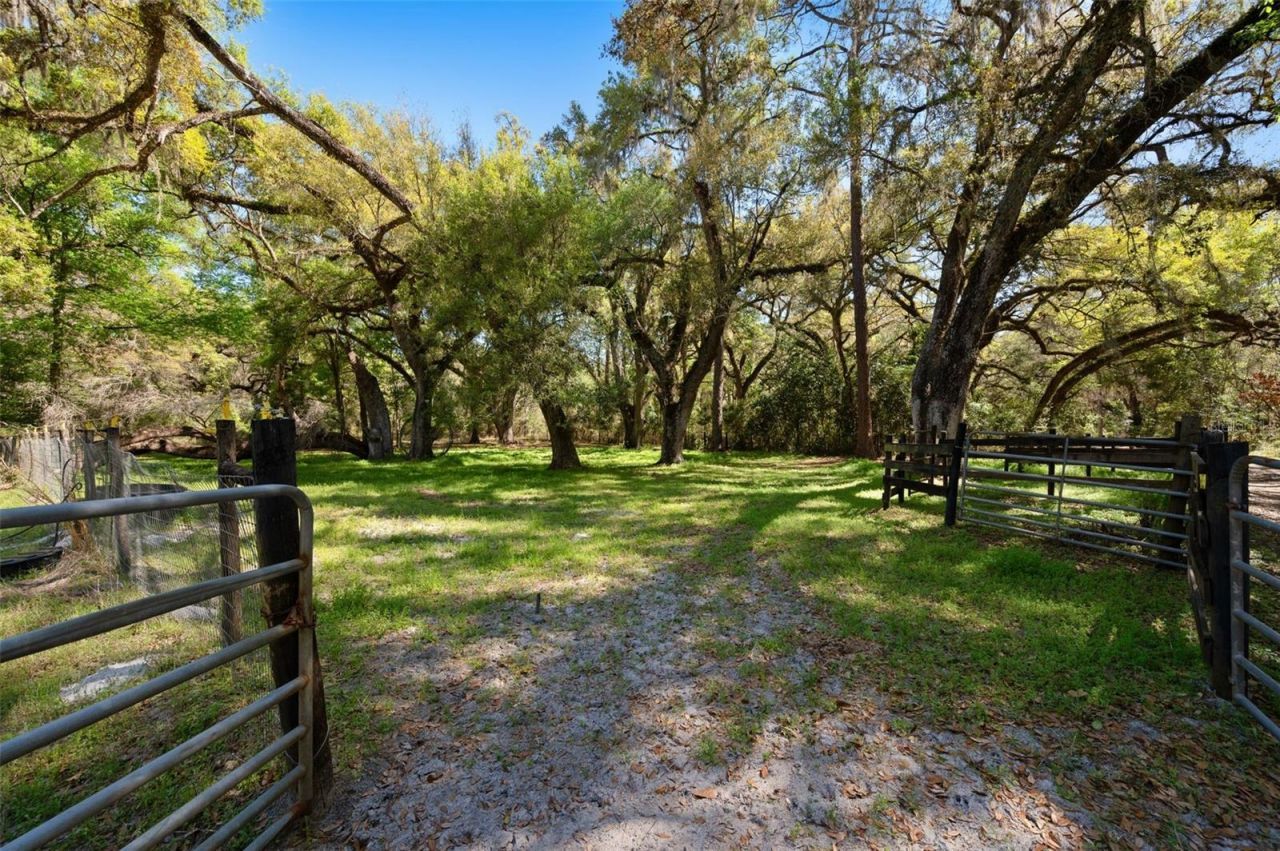 15311 SW 107th Street , Archer, FL 32618 Photo