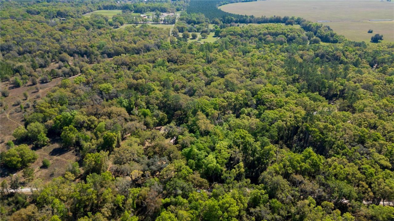 15311 SW 107th Street , Archer, FL 32618 Photo