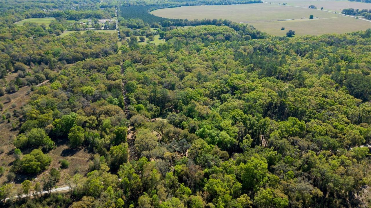 15311 SW 107th Street , Archer, FL 32618 Photo