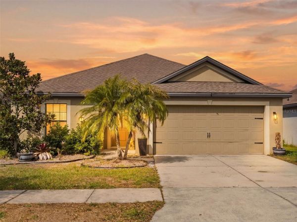 14407 ALISTAR MANOR DRIVE , WIMAUMA, FL 33598