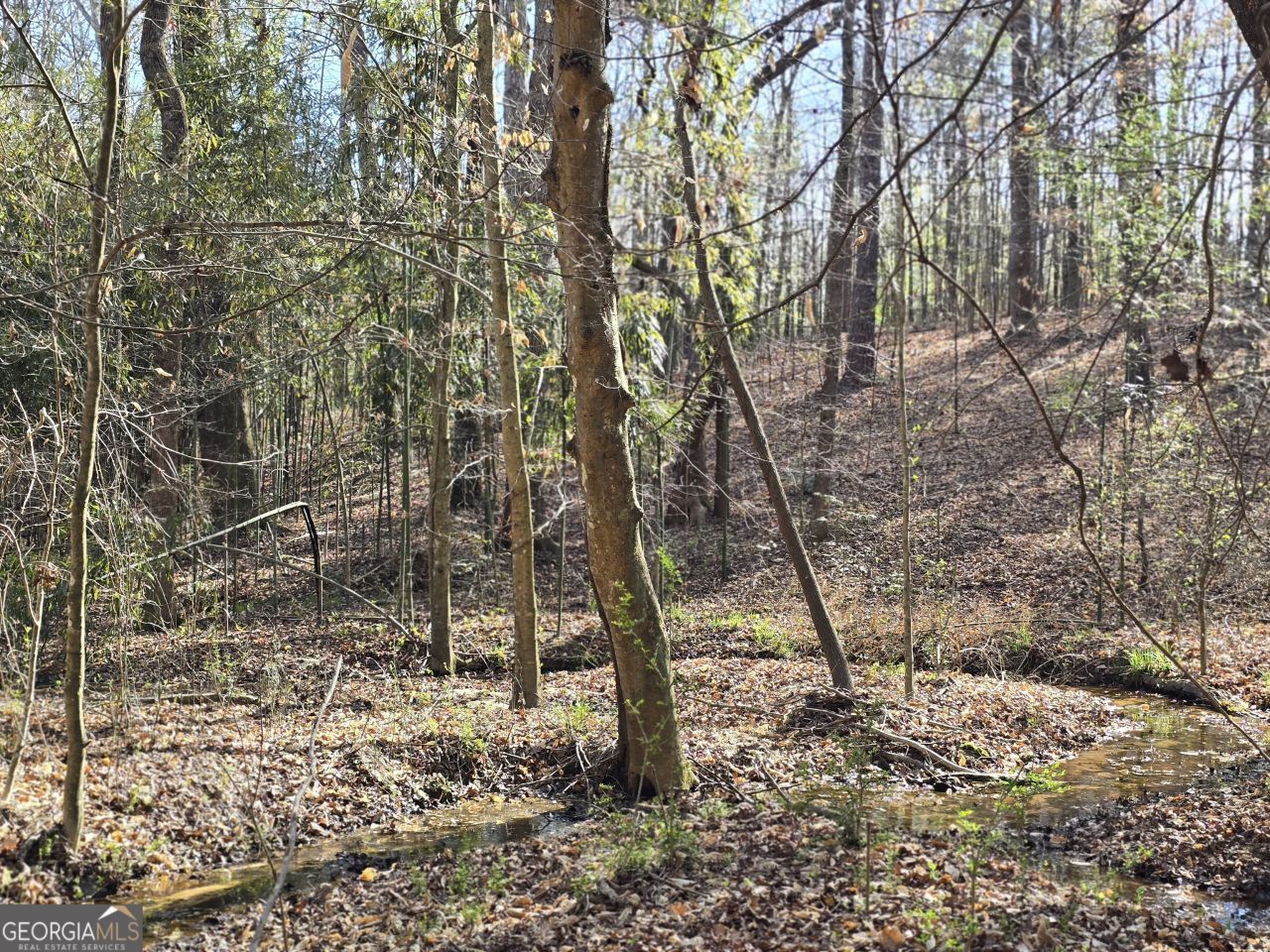 0 Willis Glenn Road, Hull, GA 30646 Main Photo