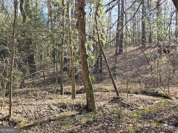 0 Willis Glenn Road, Hull, GA 30646