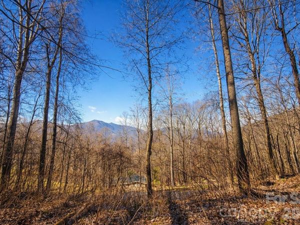 4 Buckeye Road , Maggie Valley, NC 28751